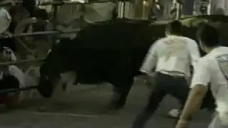 Bull almost kills guy