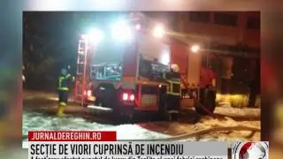 SECŢIE DE VIORI CUPRINSĂ DE INCENDIU (2017 01 17)
