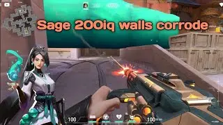 Sage 200iq walls guide for Corrode 