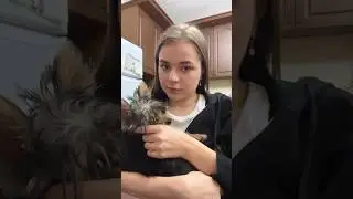 моя любовь к животным 💔💔💔