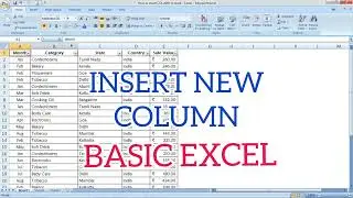 How to INSERT NEW COLUMN | Excel Basics | Insert Column