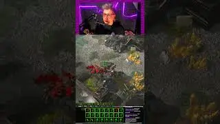 Кто плохая девочка? #starcraft #medoed #старкрафт #медоед