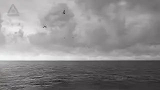 BIIG CHARLIE - LA VIDA