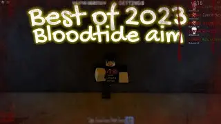 Best of 2023 Bloodtide Aim