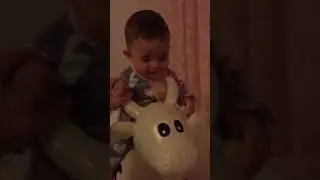 На корове