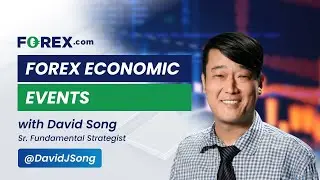 Forex Economic Events with David Song 11/6/2024