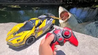 TOY RC CAR Catches FISH!!!