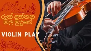 රුක් අත්තන මල මුදුනේ Ruk Atntnana Violin Cover| Sashmika Prabhashwara