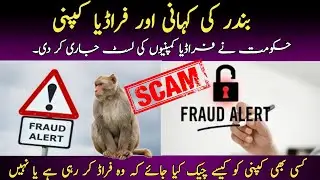 what is Ponzi schemes || How to check ponzi schemes in Pakistan || SECP exposed ponzi schemes