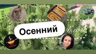 Осенний влог: (не) гламурное утро, уборка на кухне, чем кормлю семью, готовим мой любимый кекс