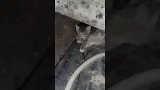 18 ноября 2023 г.