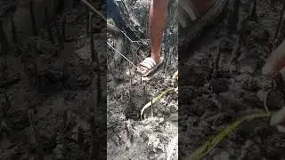 Ganito pala manguha ng mangla sa dagat