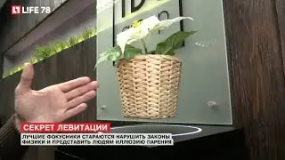 Секрет левитации: фокусники нарушают законы физики