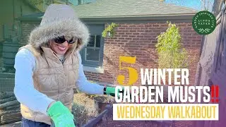 5 Winter Garden MUSTS! Let's Prepare