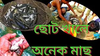 Amezing Village Style Fishing || Anowar Vlog