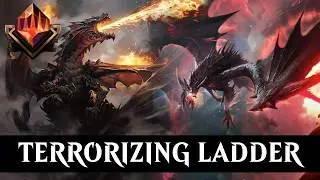 I Made Cool Dragon Deck & Destroyed BEST Meta Decks With It