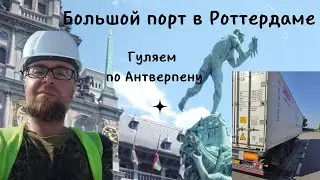 Ставим контейнер в Роттердаме и гуляем по Антверпену