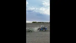Spring field work