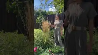 Вейник остроцветковый