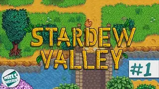 Stardew Valley - #1 - Boer Niels!