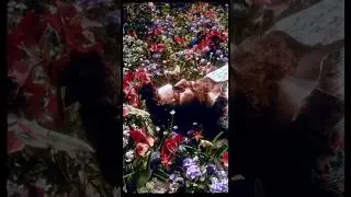 С 8 марта, девчонки 💐 Трек «Химия» — 15.03