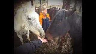 а почему бы и нет/рогожа ноябрь 2021