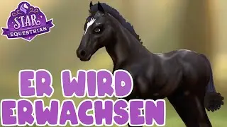 Smile wird erwachsen 🦄 Star Equestrian PC