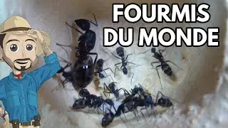 IMPOSSIBLE DE FAIRE MIEUX