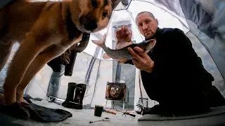 ТАКИХ Я ЕЩЕ НЕ ЛОВИЛ! РЫБАЛКА В ПАЛАТКЕ.