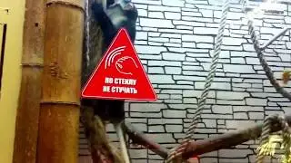 Зоопарк 