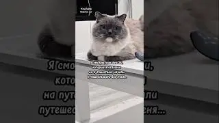 Я такого распоряжения не давал😂