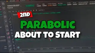 Shiba Inu Coin Parabolic 2