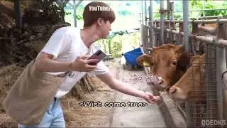 БТС озвучка. BTS в колхозе. Селфи с удавом.