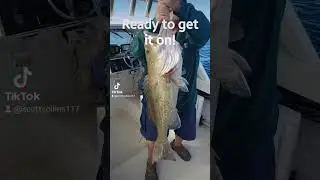 big fish on the schoolbus