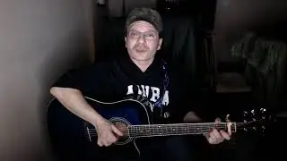 Cover на  песню Снегири Сергея Трофимова