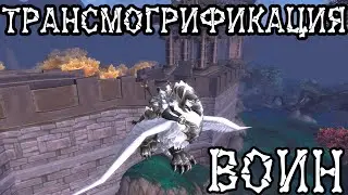 World of Warcraft - Трансмогрификация - Воин