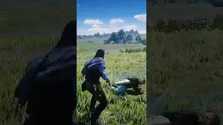 Secret Health Boost Item in Red Dead Redemption 2
