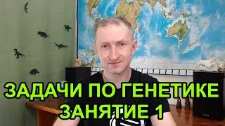 Задачи по генетике - 1. Введение. Гены и признаки