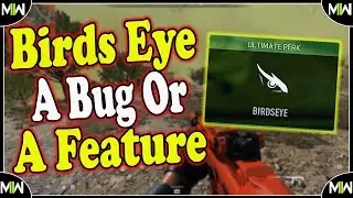 Is The UAV In The Bird Eye Perk A Bug Or A Feature In Warzone 2 #warzone #UAV #bug