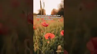 the same God who created your favorite flower created you.