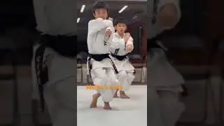 Enoi#kata #空手 #karate