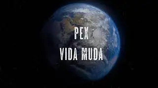 Pex - Vida Muda (Visualizer)