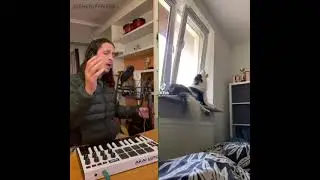 Крутой музыкант