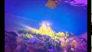 This must be Underwater Love!