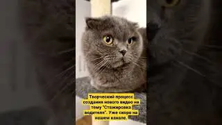 6 февраля 2022 г.
