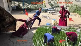 The second lady's husband takes her to help clean the rice fields and the second lady becomes angry.