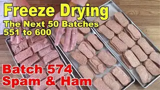 Freeze Drying - The Next 50 Batches - Batch 574 - Sister's Turkey Spam & Canned Ham Slices