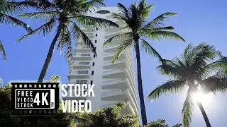 Miami, FL Pack | Free 4K Stock Video Collection
