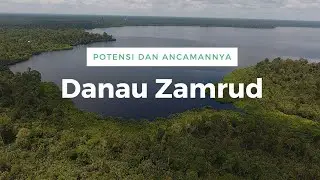 Danau Zamrud yang mempesona di Kabupaten Siak, Provinsi Riau