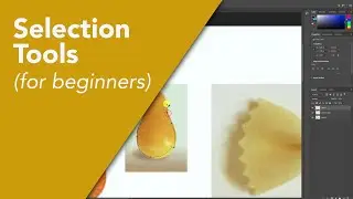 Photoshop 2022 Tutorial - Using Selection Tools (for beginners)
